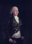 Francisco de Goya Don Pedro de alcantara Tellez Giron, The Duke of Osuna Germany oil painting artist